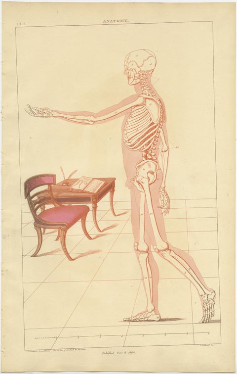 Set of 2 Antique Prints of Furniture Designs by Sheraton '1805', view 3