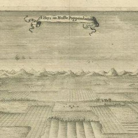 Antique Print of the Poppendam Estate by Smallegange, 1696, close-up 1