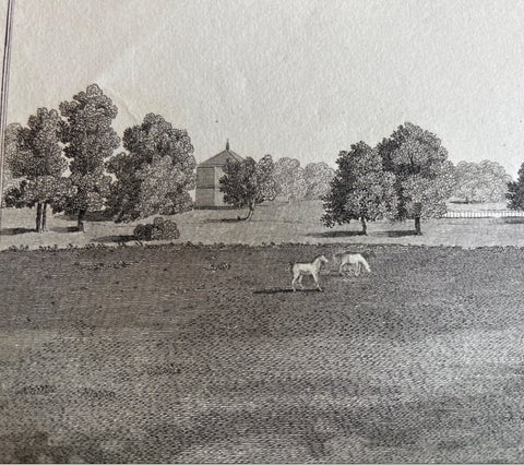 West View of Cowdray House, Historic Sussex Estate Engraving, 1796, view 8