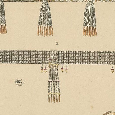 Antique Print with Decorations 'New Guinea, Indonesia' by Temminck, circa 1840, close-up 1