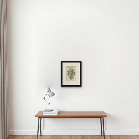 Antique Print of the House of Orléans, c.1790, shown framed on a wall, true to size