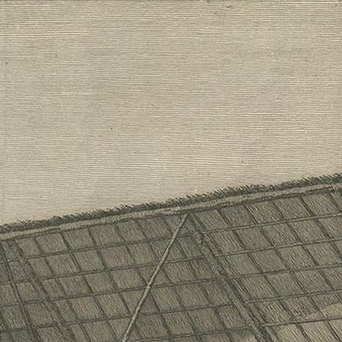 Antique Print of a House in Atooi by Cook, 1803, close-up 1