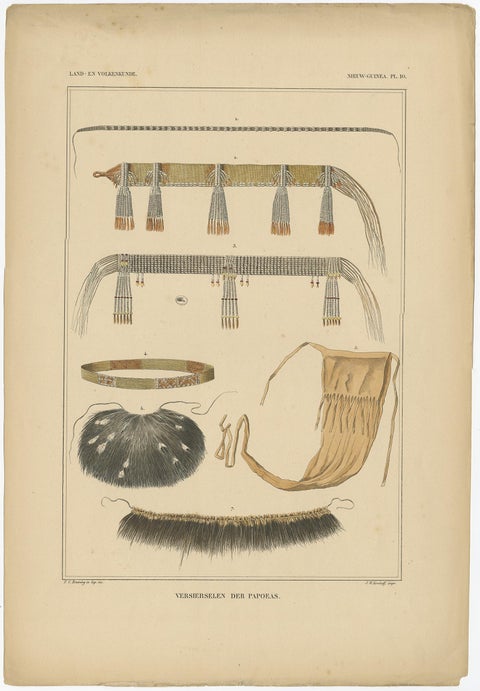 Antique Print with Decorations 'New Guinea, Indonesia' by Temminck, circa 1840, view 4