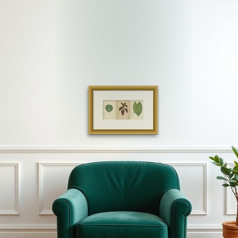 Victorian Elegance: A Trio of Ornamental Foliage from 1880 Paris, shown framed on a wall, true to size