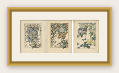 La Flore Décorative The Art Nouveau Celebration of Nature and Ornament in 1896, shown framed