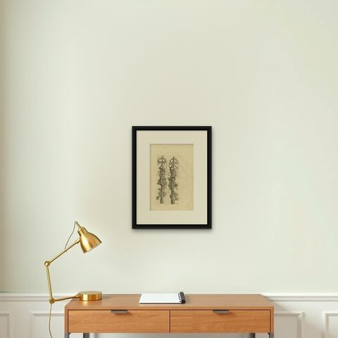 Antique Print of the Ornaments in the Great Hall of the City Hall of Amsterdam, shown framed on a wall, true to size