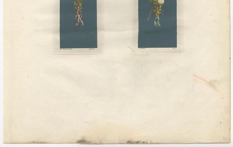 Antique Architecture Print of Ornaments 'Musica & Pastorale' by Albertolli, view 2