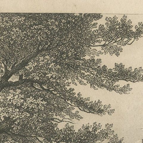 Print of Aurengzeb's Tomb, the Last Influential Mughal Emperor of India, 1860, close-up 2