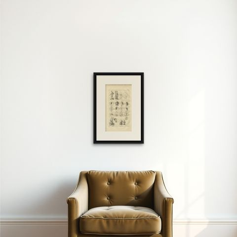 Antique Roman Sculpture & Medals Plate, Montfaucon, Antiquity Explained, 1721, shown framed on a wall, true to size