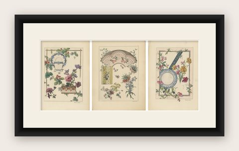 La Flore Décorative The Graceful Symbiosis of Nature and Ornament in 1896, shown framed