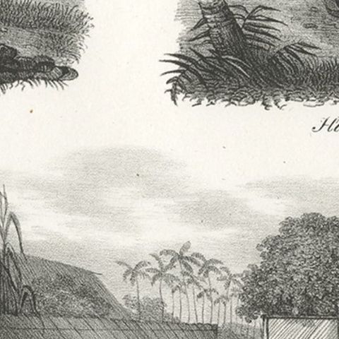 Original Antique Engraving of Various Houses of Tonga Tabu, c.1836, close-up 3