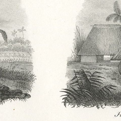 Original Antique Engraving of Various Houses of Tonga Tabu, c.1836, close-up 2