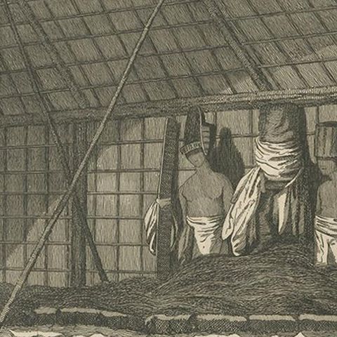 Antique Print of a House in Atooi by Cook, 1803, close-up 2