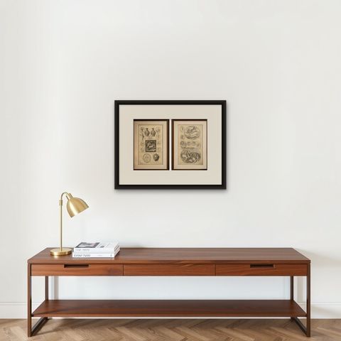 Pair of Classical Mythological Engravings, Montfaucon Antiquity Explained 1721, shown framed on a wall, true to size
