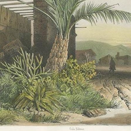 Antique Print of a Ruin in Concepción 'Chile' by D'Urville, circa 1850, close-up 1