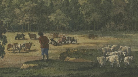 Pastoral Elegance: Ulrik Thersner's 1824 Aquatint of Djursholm Castle, close-up 3