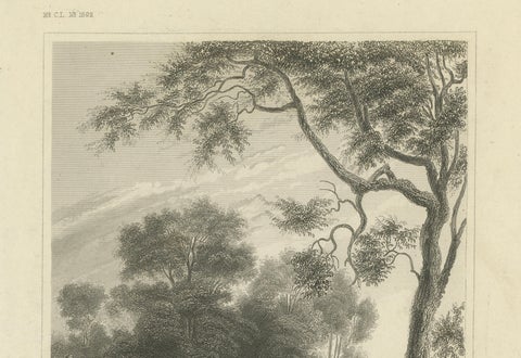 Washington's Tomb at Mount Vernon, Antique Americana Engraving, c.1850, close-up 5